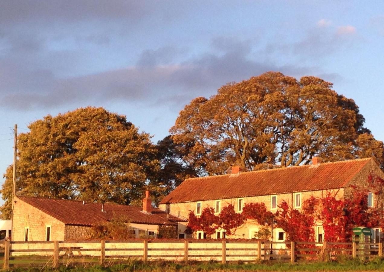 Ryedale Vakantiehuis *